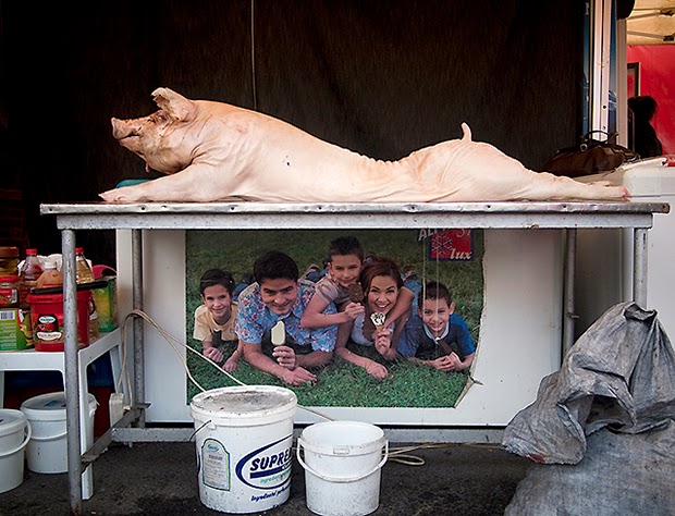 Забавные находки стрит-фотографа Хайду Тамаса в небольшом румынском городе