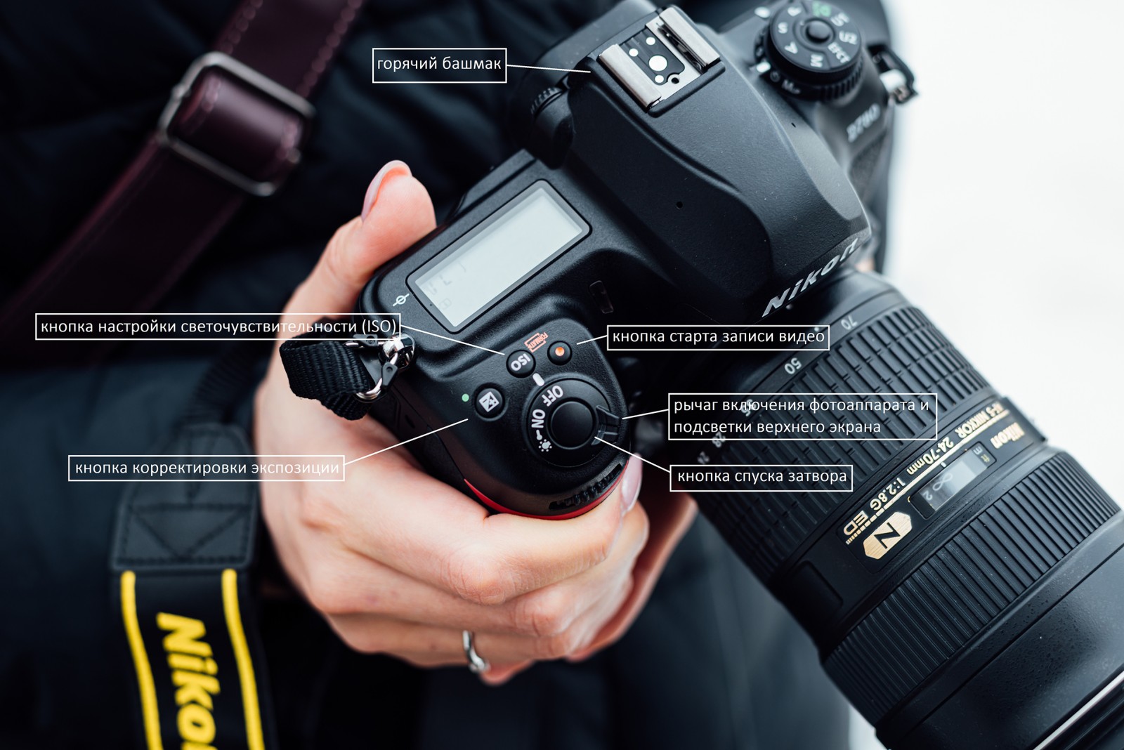 Обзор новинки Nikon D780 от Олега Гулякова
