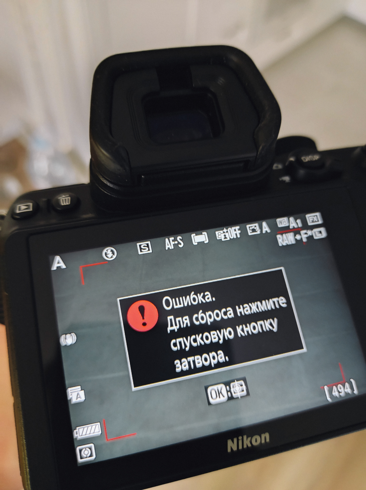 Тест-обзор Nikon Z5 и немного про объективы Nikkor — Российское фото