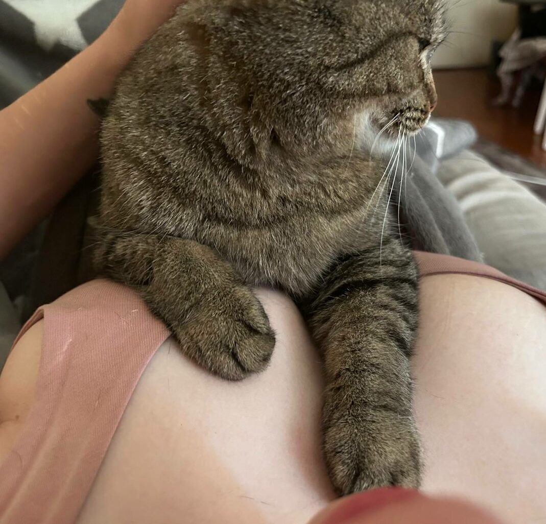 tamokka boosty 